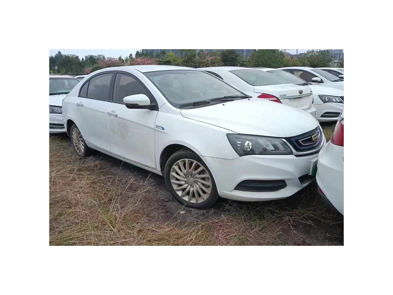 帝豪新能源 2018产 EV300